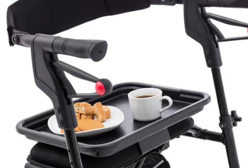 Nexus Accessories - Tray